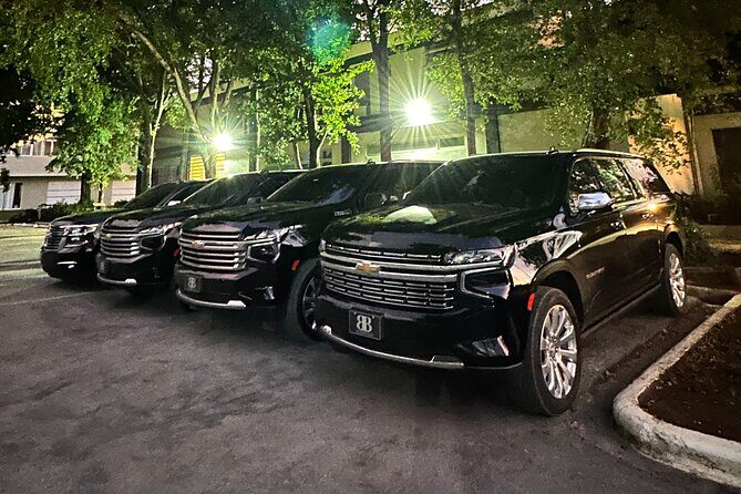 Affordable Private Airport Transfer in Punta Cana - Real-World Insights from Reviews