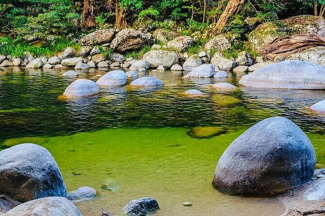 Affordable Return Mossman Gorge from Port Douglas Transfers - Key Points