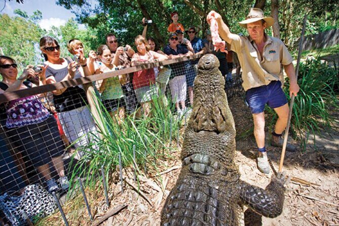 Affordable Return Mossman Gorge from Port Douglas Transfers - Frequently Asked Questions