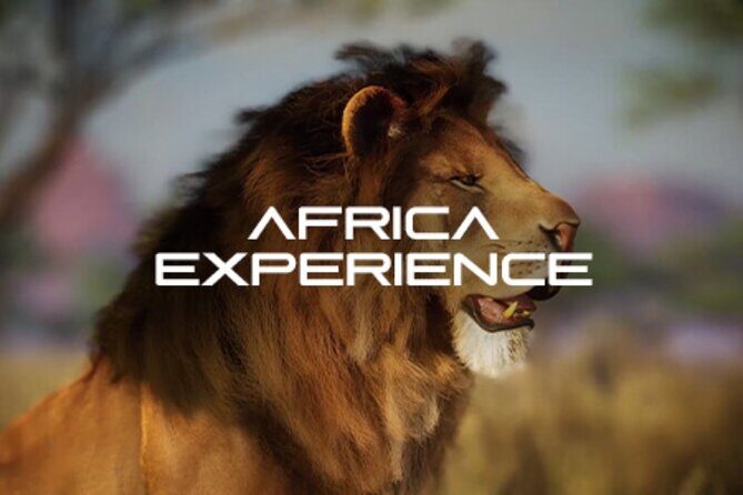 Africa Hologram Adventure at Zoocade - Key Points