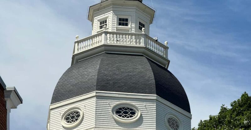 African American Tour Of Annapolis From Washington DC - Why Choose This Tour?