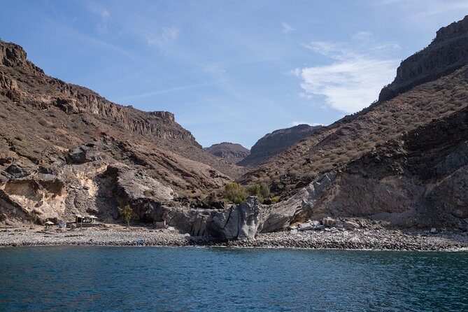 Afrikat Afternoon Cruise - The Afrikat Afternoon Cruise: An In-Depth Review