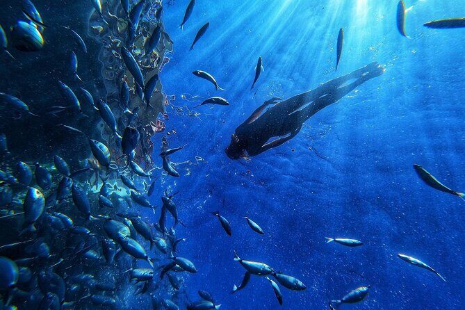 Afrikat Morning Cruise - A Deep Dive Into the Afrikat Morning Cruise