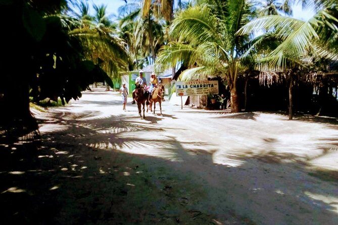 Afro-Mex Village Experience -Horseback Ride -Turtle Hatch & Crocs - In-Depth: What to Expect and Why It Matters