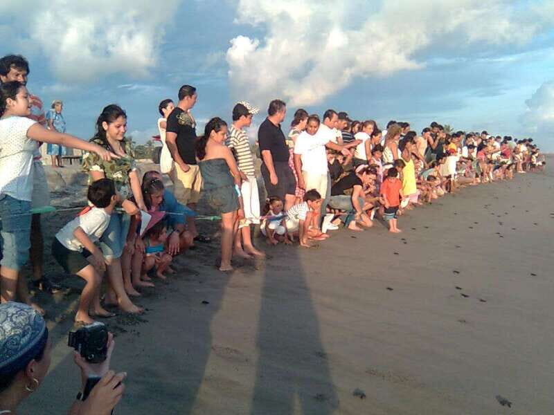 *Afro-Mex Village Horse Ride, Turtle Release Crocodile Farm - FAQ