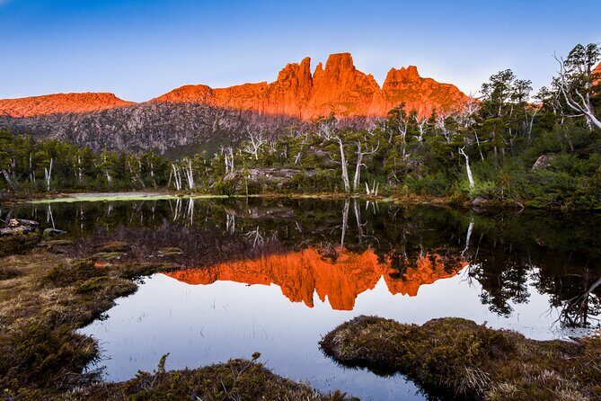 After Dark Tasmanian Devil Feeding Tour at Cradle Mountain - Frequently Asked Questions