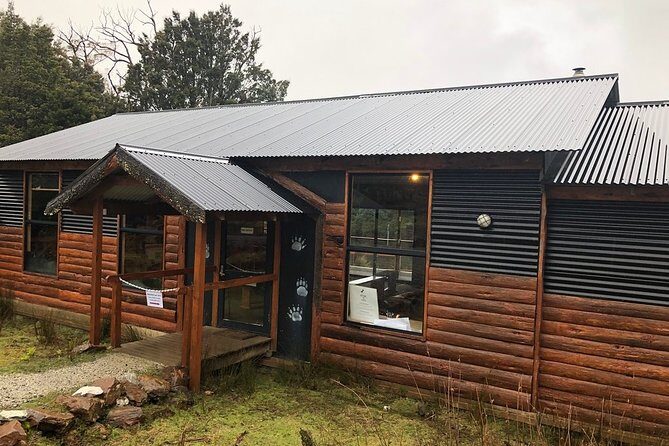 After Dark Tasmanian Devil Feeding Tour at Cradle Mountain - Final Thoughts