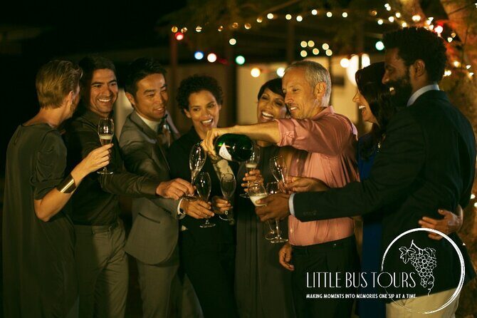 Afternoon 4 winery Tasting Tour with 24 Tastings & Charcuterie - The Experience on the Ground