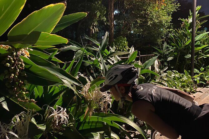 Afternoon Adventure: Okinawa Local Cycling with Spectacular Views - Frequently Asked Questions