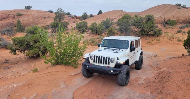 Afternoon Arches National Park 4x4 Tour - In-Depth Review of the Arches 4x4 Tour