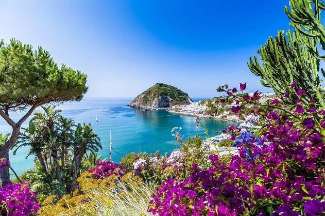 Afternoon Bus Tour of the Island of Ischia - A Deep Dive into the Ischia Bus Tour Experience