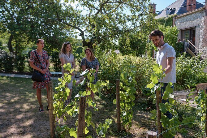 Afternoon Champagne visit & tasting class near Epernay - Key Points