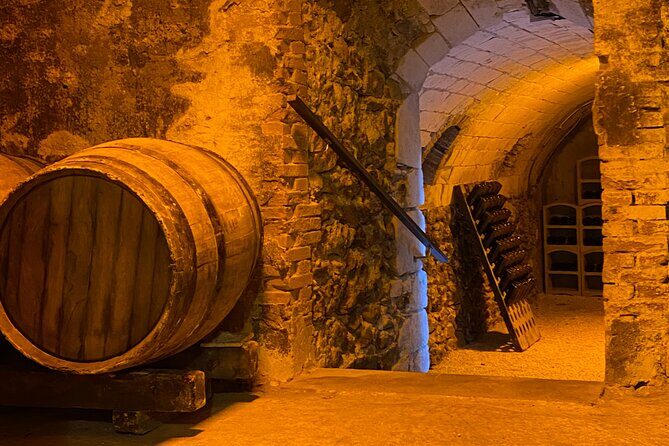Afternoon Champagne visit & tasting class near Epernay - Practical Details and Tips