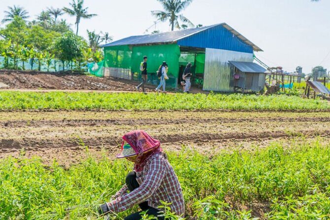 Afternoon Cooking Class & Village Tour in Siem Reap - Key Points
