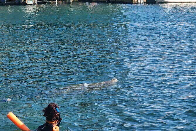 Afternoon Crystal River Ecological Boat Tour - Why Guide Knowledge Matters