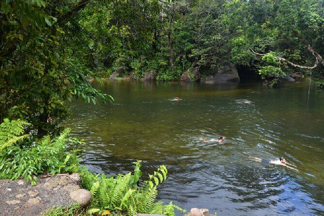 Afternoon & Evening Tour of Paronella Park - Final Thoughts: Who Should Consider This Tour?
