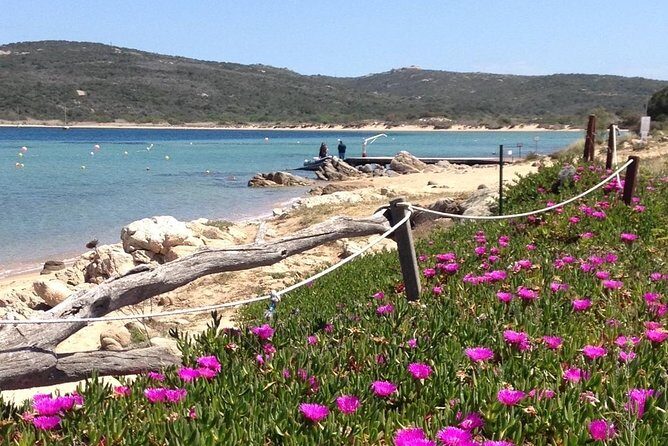 Afternoon excursion (15: 00/19: 00) by rubber boat in the archipelago of La Maddalena. - Frequently Asked Questions