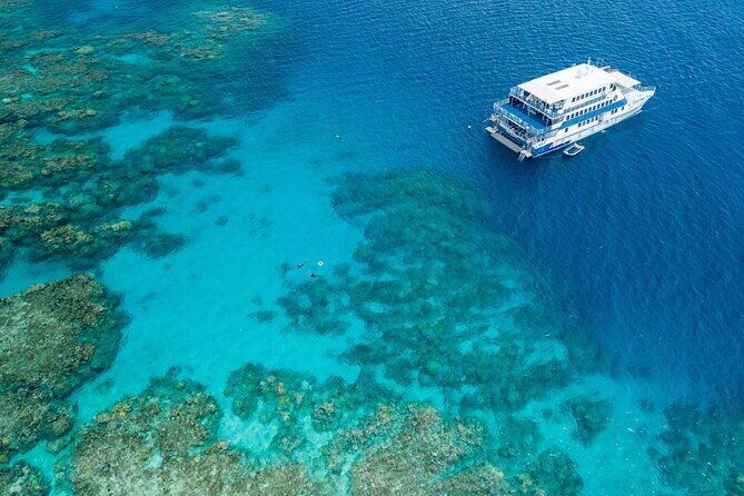 Afternoon Fitzroy Island Escape  Return Ferry Included - Who Should Consider This Tour?
