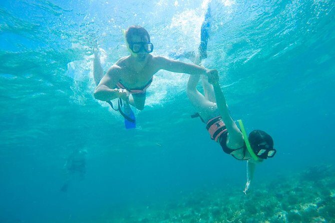 Afternoon Half-Day Catmaran Sailing and Snorkel Adventure - Who Should Consider This Tour?