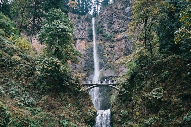 Afternoon Half-Day Multnomah Falls and Columbia River Gorge Waterfalls Tour from Portland - The Experience in Detail