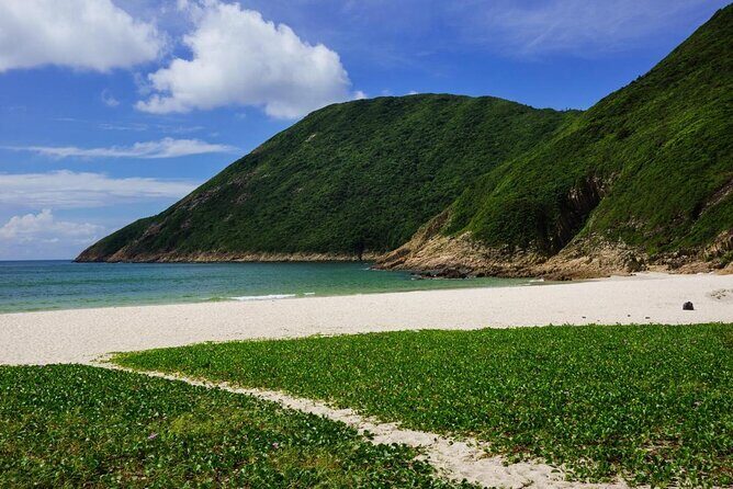 Afternoon Hiking Tour Sharp Island Geopark - An In-Depth Look at the Sharp Island Geopark Tour