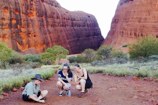 Afternoon Kata Tjuta Small Group Tour - Key Points