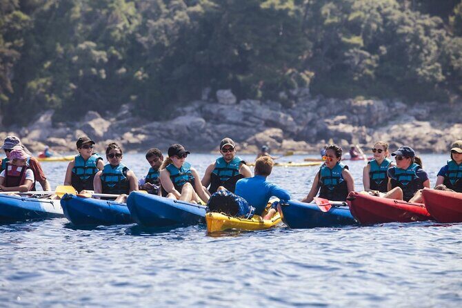Afternoon Kayaking in Dubrovnik - An In-Depth Look at the Dubrovnik Kayaking Experience