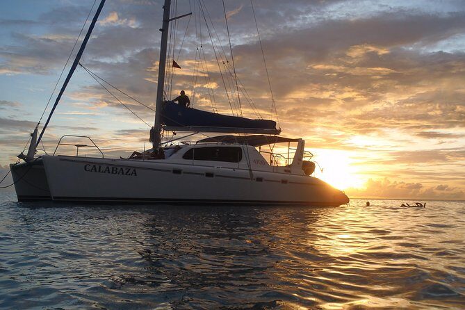 Afternoon Luxury Catamaran Sailing and Charter Cruise from Bridgetown - An Authentic Barbados Sunset Catamaran Experience