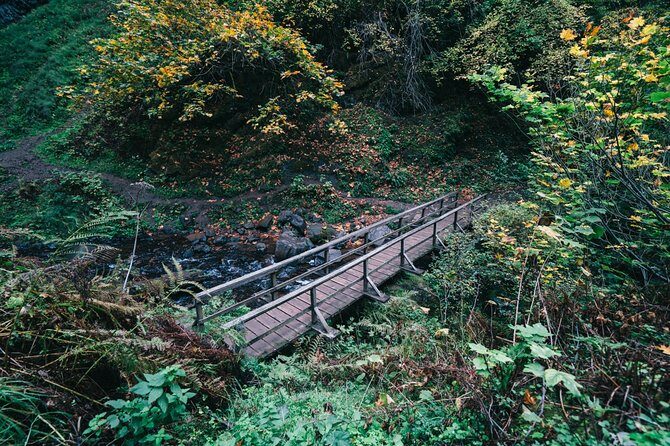 Afternoon Multnomah Falls and Gorge Waterfalls Tour - Exploring the Columbia River Gorge: A Detailed Review