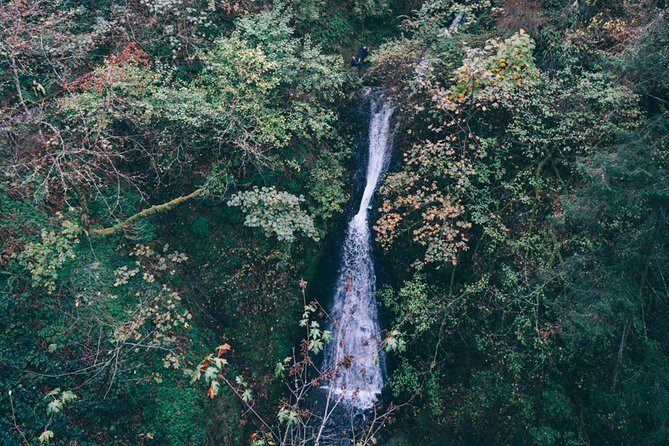 Afternoon Multnomah Falls and Gorge Waterfalls Tour - Frequently Asked Questions