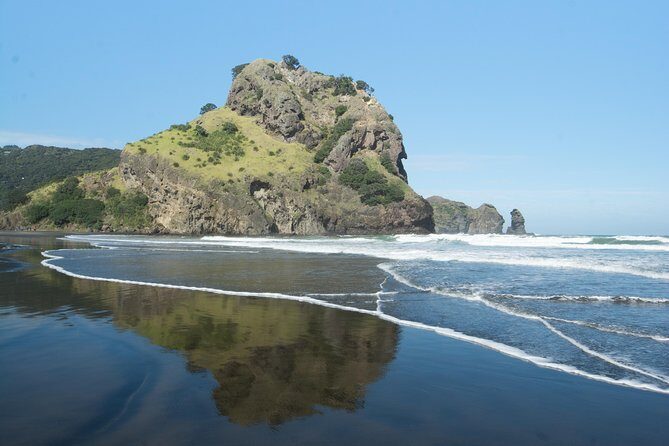 Afternoon Piha Beach and Rainforest Tour from Auckland - Who Will Love This Experience?