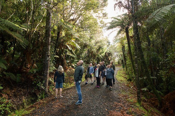 Afternoon Piha Beach and Rainforest Tour from Auckland - About the Guides and the Experience