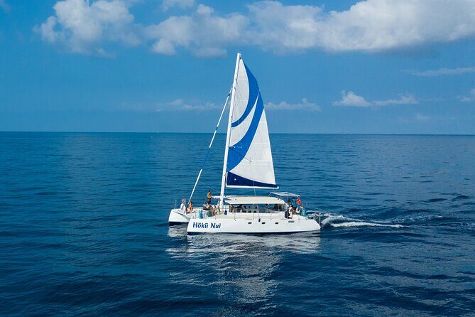 Afternoon Sail & Snorkel to the Captain Cook Monument - The Sum Up