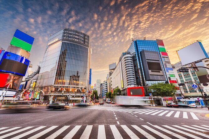 Afternoon Small Group Tour in Tokyo - Key Points