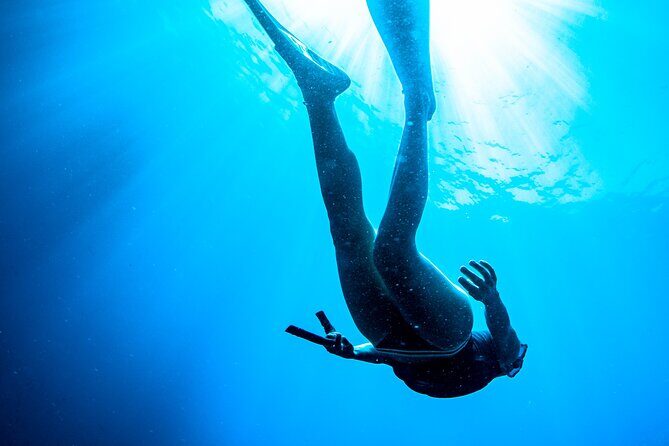 Afternoon snorkelling guided by a marine biologist in Sorrento - Key Points