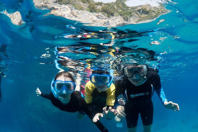 Afternoon snorkelling guided by a marine biologist in Sorrento - Authentic Reviews and What They Tell Us
