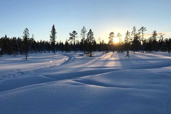 Afternoon Snowmobile Tour - An In-Depth Look at the Snowmobile Adventure