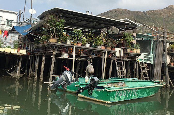 Afternoon tour - Lantau Enlightenment Tour - Practical Tips and Considerations