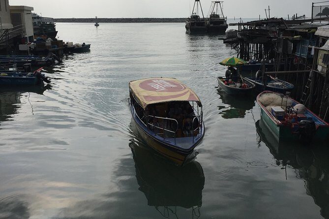 Afternoon tour - Lantau Enlightenment Tour - Price and Value: Is It Worth It?