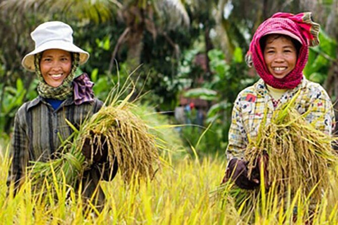 Afternoon tour to Original Bamboo train. Bat cave. Killing cave - An Authentic Adventure Through Battambang’s Countryside