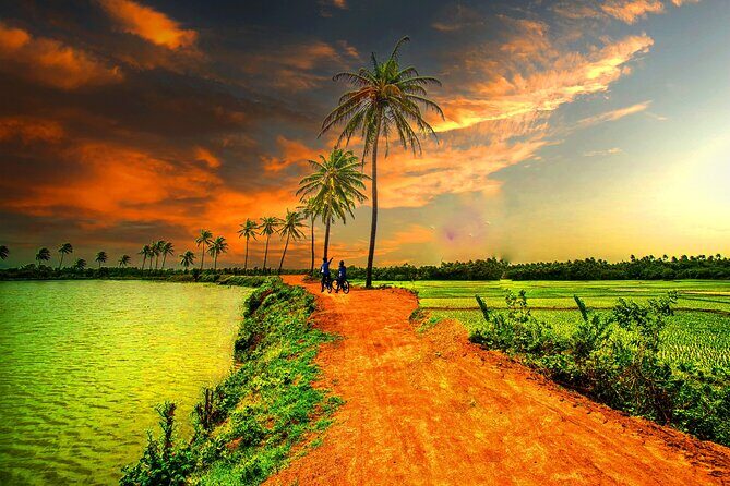 Afternoon tour to Original Bamboo train. Bat cave. Killing cave - The Value for Your Money