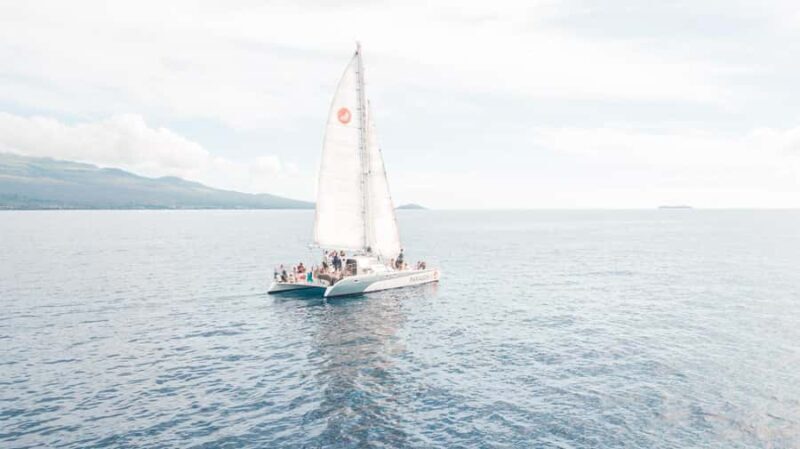 Afternoon Whale Watch from Lahaina - Who It’s Best For