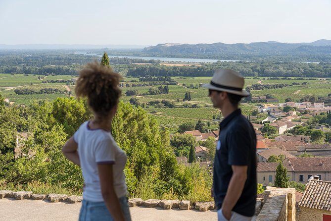 Afternoon Wine Tour to Chateauneuf du Pape from Avignon - An In-Depth Look at the Châteauneuf-du-Pape Wine Tour