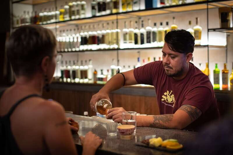 Agave Spirits Experience - Agave Spirits Experience: An Authentic Tasting Journey in Jalisco, Mexico