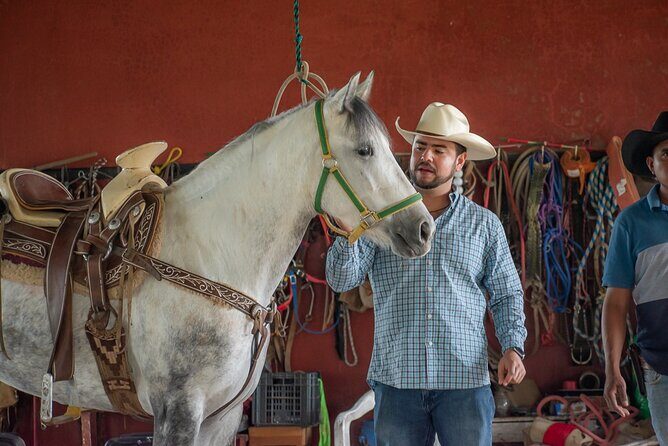 Agaves and Tequila Horseback Ride in El Arenal Jalisco - Why This Tour Works Well