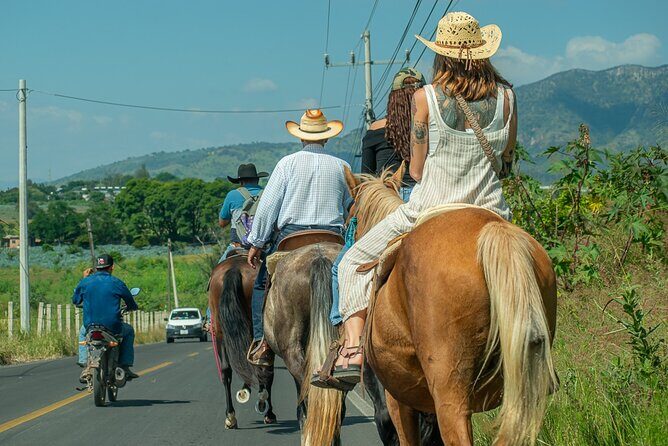 Agaves and Tequila Horseback Ride in El Arenal Jalisco - FAQs