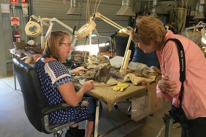 Age of Dinosaurs Museum Half Day Tour with Red Dirt Tours - The Value of the Experience