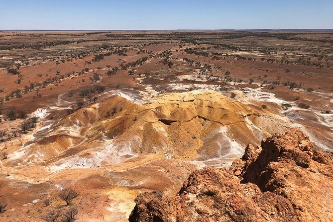 Age of Dinosaurs Museum Half Day Tour with Red Dirt Tours - Final Thoughts