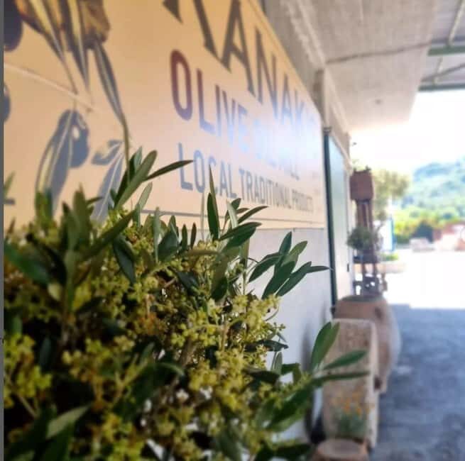Agia Marina - Chania - visit to an oil mill and organic winery - Key Points