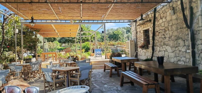 Agia Marina - Chania - visit to an oil mill and organic winery - Exploring the Itinerary: What to Expect